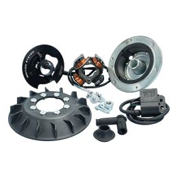 Accensione POLINI For Race 5 fili Vespa 50 PK/Ape
