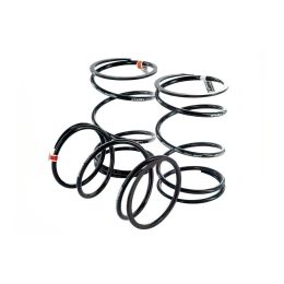 Stag6 Clutch Contrast Spring Kit Piaggio/Gy6