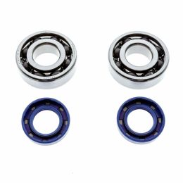 POLINI Lagerkit für Rennen 20-47-14mm Derbi