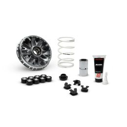 Variatore MALOSSI Multivar 2000 per ZONTES
