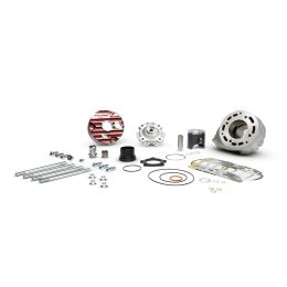 Gruppo termico MALOSSI MHR 100 testa rossa scomponibile per Aprilia/Derbi/Gilera