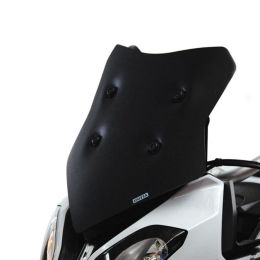 ISOTTA Niederscheibe Austauschbar Matt Schwarz 445x395mm für BMW S 1000 XR