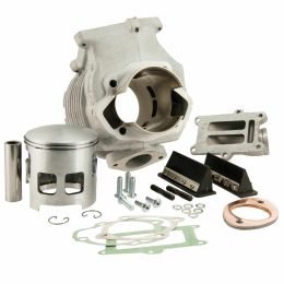 AF RAYSPEED RB22 225cc Cylinder in Aluminum 6 Transfers Nikasil Coated ASSO Piston