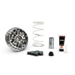 MALOSSI Multivar 2000 Variator für SUZUKI
