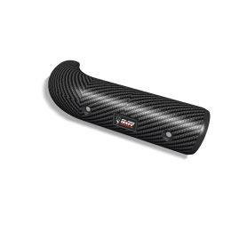 MIVV Carbonfaserabdeckung für HARLEY DAVIDSON Pan America