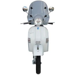 FABBRI Light Smoke Scooter Windscreen 485x360mm