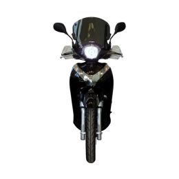 FABBRI Sport Scooter Windshield 425x275mm with Painted Finishes