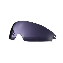Visiera Interna Fumé per Casco LS2 FF807 DRAGON