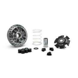 Variatore MALOSSI Multivar 2000 per YAMAHA