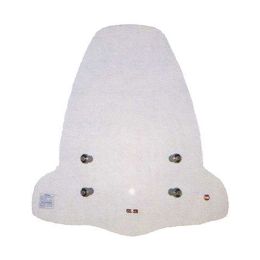 WINDSHIELD FACO 22201