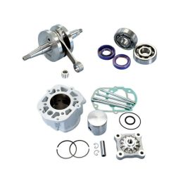 Groupe thermique POLINI D.50 cylindre en aluminium