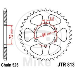 Motorrad hinter kettenrad JT JTR813.40