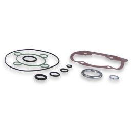 Kit guarnizioni per gruppo termico Malossi D 47 3112502