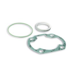 Kit guarnizioni per gruppo termico Malossi D 47 3113570