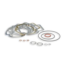 Kit guarnizioni per gruppo termico Malossi D 47,6/52 3115349 - 3115385