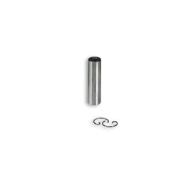 Spinotto pistone Malossi D 10x6x36 mm