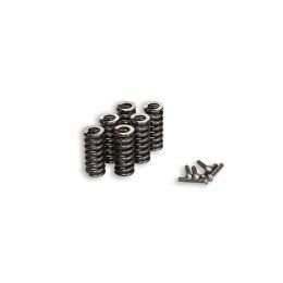 Malossi spring kit for gears 67 3730 - 67 3888 - 67 5235 - 6716720 - 6716721