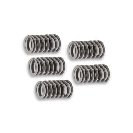 Malossi clutch spring kit reinforced for kit 5216539