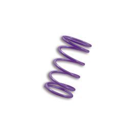 Molla di contrasto variatore Malossi MULTIVAR viola 70,75x105 mm k 20