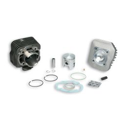 Haut moteur fonte Malossi D 47 axe 12