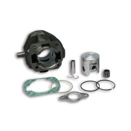 Cilindro Malossi D 47 ghisa per 317903