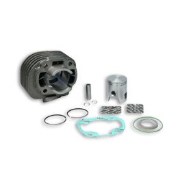 Cilindro Malossi D 40 ghisa per 318562