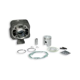 Cilindro Malossi D 40 50cc ghisa per 318573