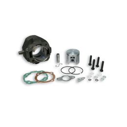 Malossi Gusseisenzylinder D 55 für 318691