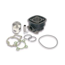 Cilindro Malossi D 47 ghisa per 3112044