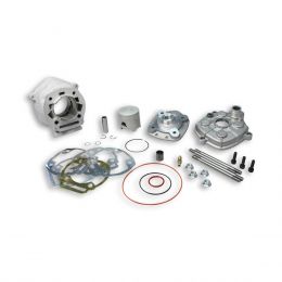 Malossi MHR TEAM Aluminium-Zylinder-Kit REPLICA D 50 77cc LC Demontierbarer Kopf