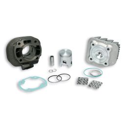 Gruppo termico Malossi D 40 50cc ghisa spinotto 12