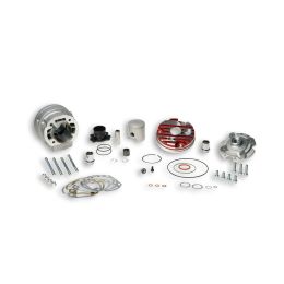Haut moteur aluminium Malossi MHR TEAM D 47,6 LC Tête rouge démontable