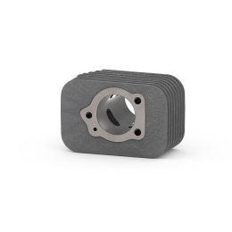 Cilindro Malossi D 43 ghisa spinotto 10 CVF per 3118567 - 3118732