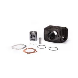 Malossi cast iron cylinder D 43 piston pin 12 CVF for 3118509 - 3118556
