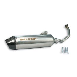 Malossi RX Auspuff