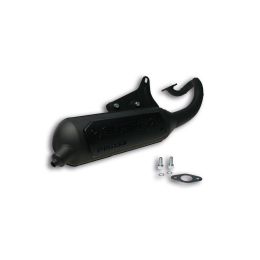 Malossi WILD LION exhaust homologated