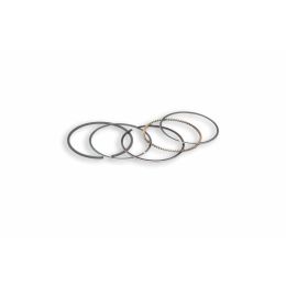 Kit fasce elastiche 4 tempi Malossi D 44