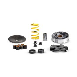 Malossi MULTIVAR variator for Piaggio mopeds