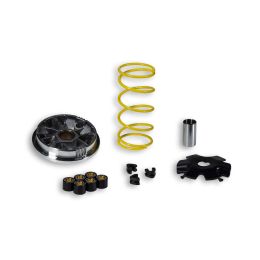 Variateur Malossi MULTIVAR