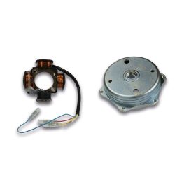 Schwungrad und Stator Kit für Malossi POWER Zündung 5517192