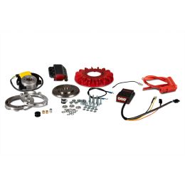 Malossi MHR TEAM II interne Rotorzündung 20 Kegel