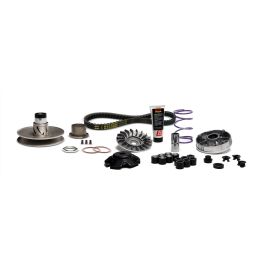 Trasmissione completa Malossi Over Range MHR Piaggio carter lungo