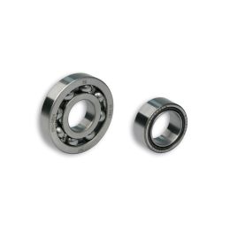 Malossi SPORT Lager Set D 25 für Kurbelwelle