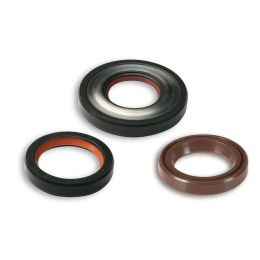 Kit paraoli Malossi in FKM/PTFE per revisione