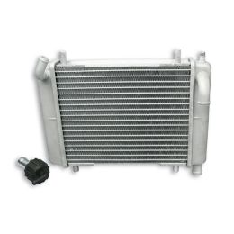 Radiatore Malossi MHR senza attacchi 30,4x19,8x5 cm per 7115508 - 7115506
