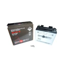 BATTERIA OKYAMI B39-6 CON ACIDO A CORREDO