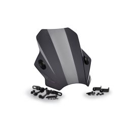 Pare-brise fumé PUIG 430x390mm pour Suzuki Inazuma