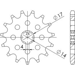 PIGNONE PASSO 420 - Z 12 DENTI (DIS.22101)