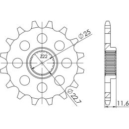 PIGNONE PASSO 520 - Z 13 DENTI (DIS.94318)