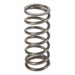 SIP 82874100 MOLLA FRIZIONE RACE PK HP XL